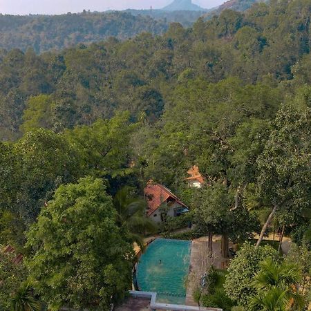 Willow Resorts Ambalavayal Zewnętrze zdjęcie